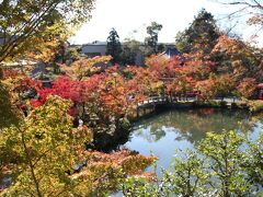 13:00　永観堂禅林寺
南禅寺からのんびり歩いて10分くらいでした

中門から入ってすぐの放生池