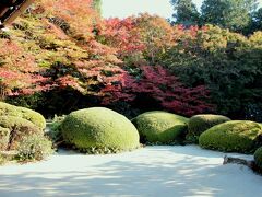 少し紅葉には早かったですが、十分きれいでした