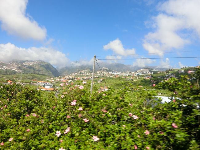 ジラオン岬までの車窓