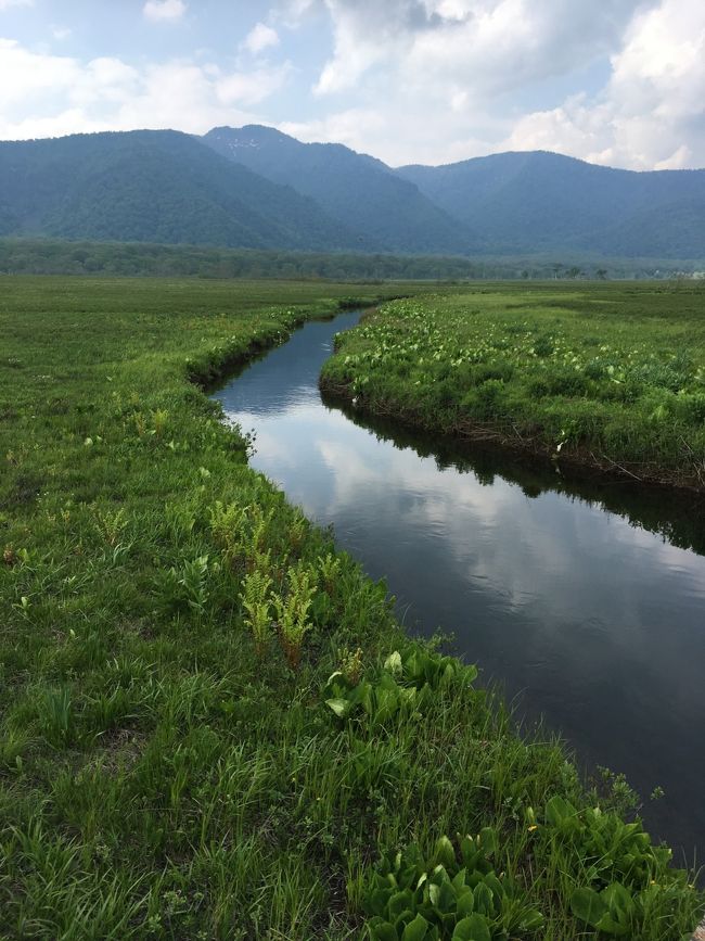 大きな川が流れていました。
