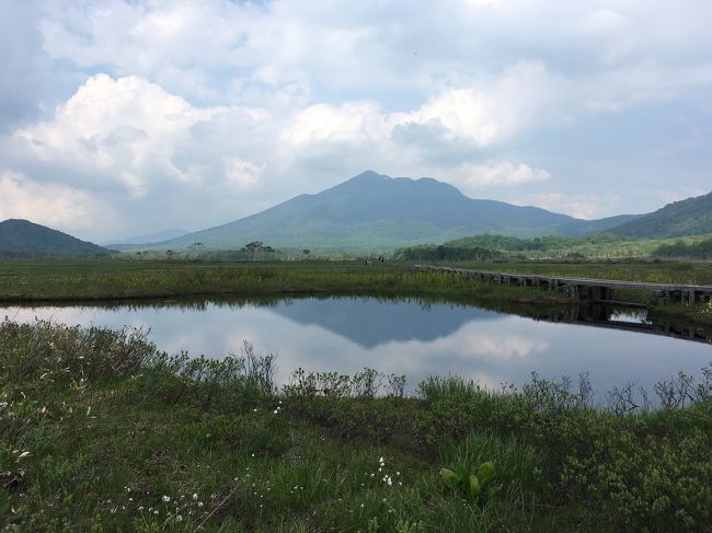 正面には燧ケ岳。そしてそこら中に池塘が。