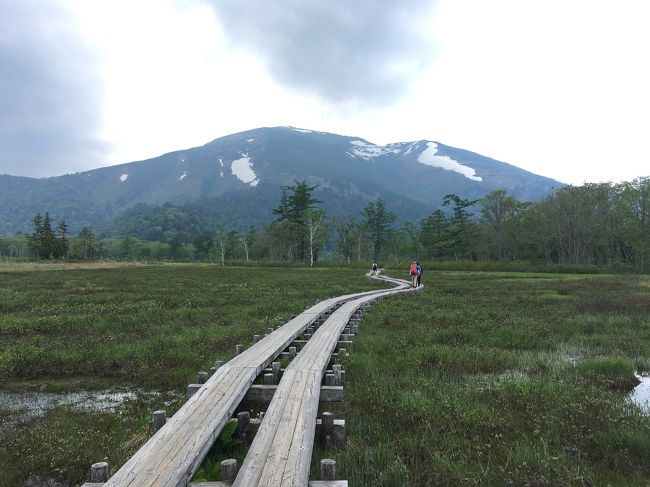 振り返ると至仏山。このなだらかな山容がとても好きです。いつか登ってみたい憧れの山になりました。にわかに。