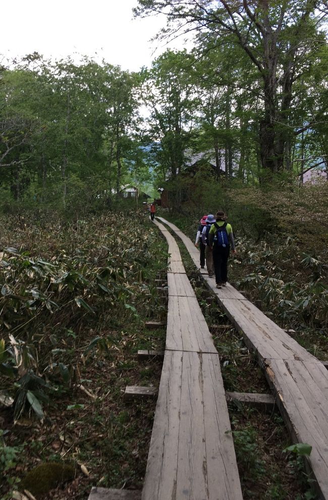 山の鼻が見えてきます。カフェやお土産物屋さんがあり、休憩している人が大勢。尾瀬の入り口であり出口でもある。