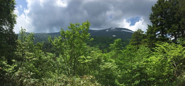 鳩待峠から山の鼻を目指して歩いて行く途中に見える至仏山。