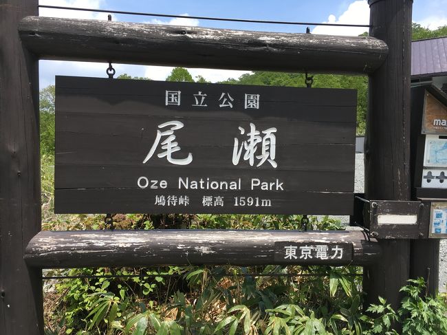 高速バスで戸倉まで。戸倉から鳩待峠に移動し、尾瀬に入ります。