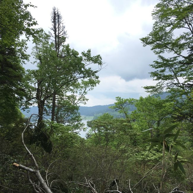 森を抜け、木道の登山道を上り下り……結構足に来ます。