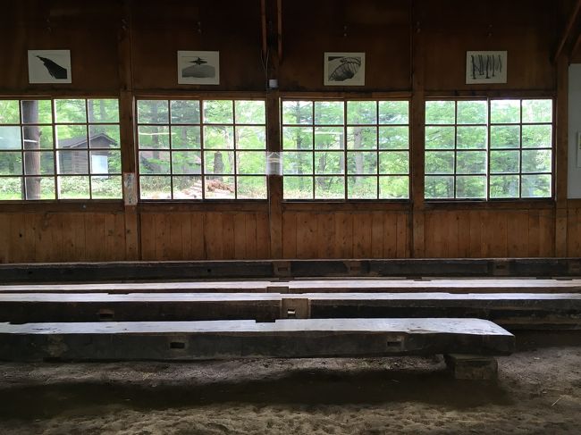 ここは昔山小屋だったそうです。きっと畳敷きの雑魚寝スタイルだったのでは？