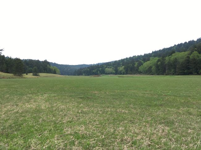 ひらけた場所につき、