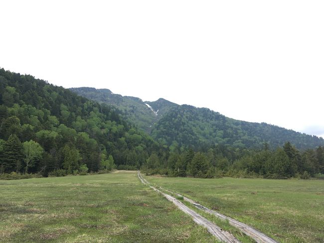 これは昨日とは形を変えた燧ケ岳。この道は登山道。