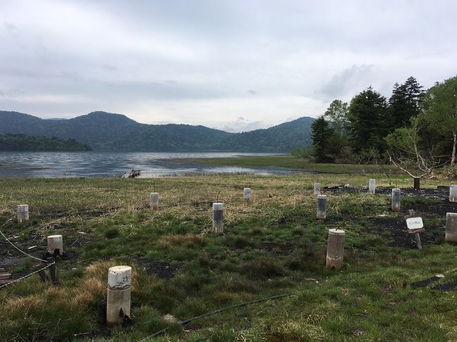 沼尻の休憩所は発電事故で数年前に消失したそうです。