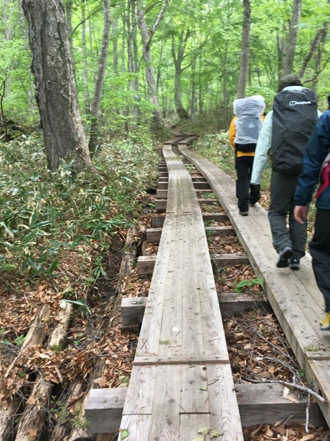 雨が降っていたのは最初の１０分くらいですが、見晴から尾瀬沼～一ノ瀬を目指して歩き始めます。