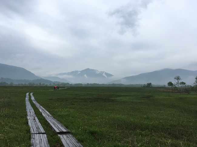 一晩雨が降り、翌朝ちょっと歩けるので見晴からみた至仏山。本当は快晴になって欲しかったけど、これはこれで美しいです。