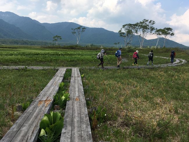 木道です。尾瀬のシンボルですが、トレッキングシューズの登山スタイルには結構しんどいです。