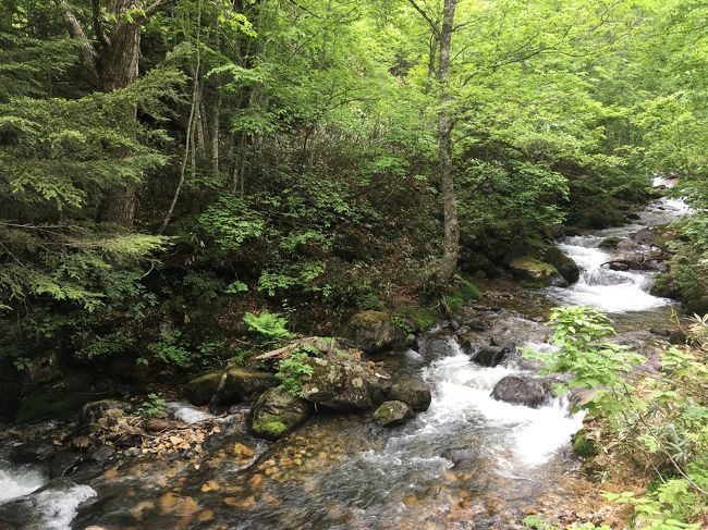 その滝の水が流れになります。ゴールが近いです。