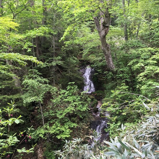 滝が見えます。