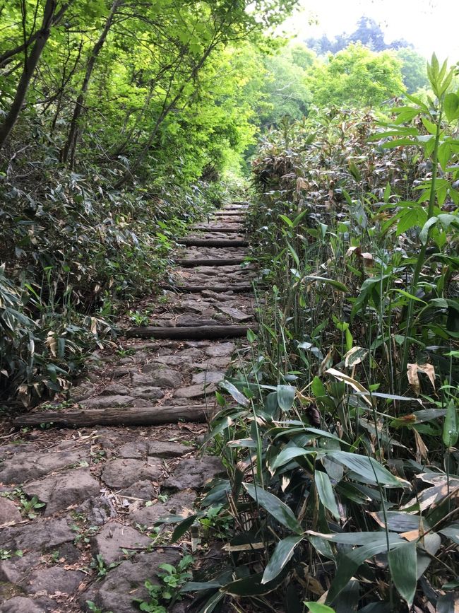 一ノ瀬に行くまでの間にある岩清水のあたり。