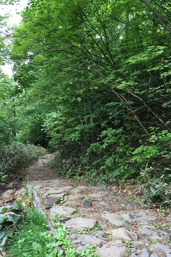 木道、ぬかるみ、石畳。足元は決して良いとは言えません。木道も崩れているところもあり危ないです。気が抜けません。