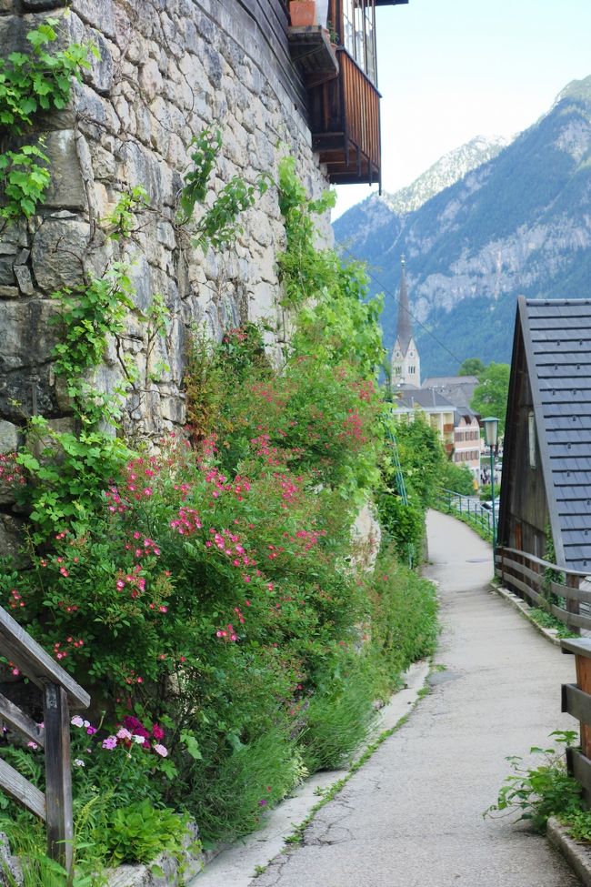 天気が良くなってきたので、<br />ホテル近くの世界遺産展望台へケーブルカーで行ってみる事に。