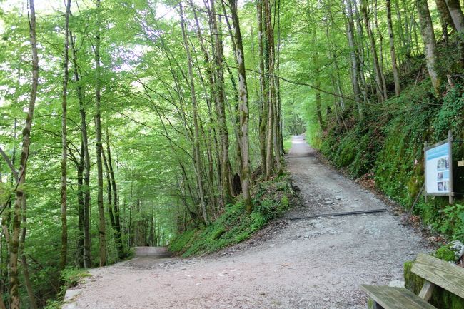 最後はヘアピンカーブ。<br />この急坂をランニングで駆け上がる地元の人をみかけました。凄いわ！