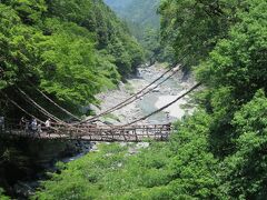 祖谷（いや）のかずら橋へやって来ました。
ツアーで巡る８つの絶景の２つめです。

見た目も素朴なかずら橋。
シラクチカズラで編んだ吊り橋です。

ツアーでは、橋を渡るのはオプションでした。
妹が、四国へ行ったらぜひ渡ってみたいと言っていたかずら橋。
もちろん、私たちは橋を渡ります。