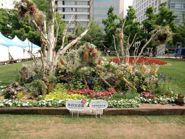 花フェスタ17札幌 と 大通公園花壇コンクール 札幌 北海道 の旅行記 ブログ By Mzwさん フォートラベル 花フェスタ17札幌 と 大通公園花壇コンクール 札幌 北海道 の旅行記 ブログ By Mzwさん フォートラベル