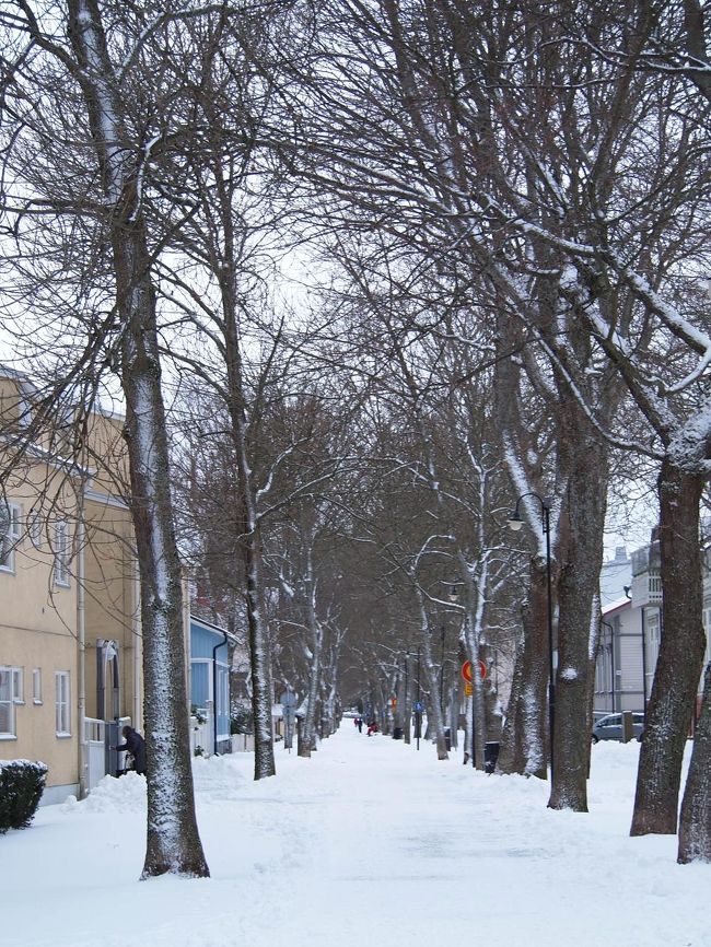 ナーンタリスパホテルに向かう公園。たくさんワンちゃん連れが歩いていました。<br />気持ちの良い通りでした。