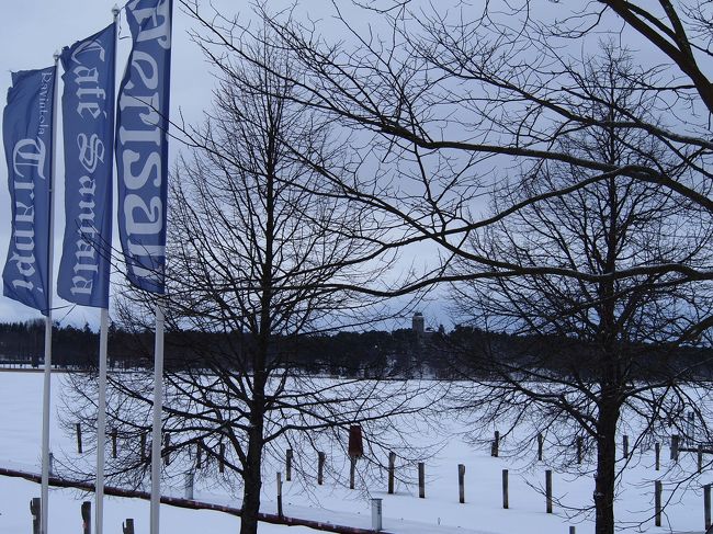 氷の海の上に昨夜の雪が積もって、白銀の世界に。