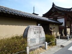 今日は奈良へやってきました。
まずは薬師寺。