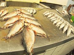 「マナウス・モデルノ市場～Feira Manaus Moderna～」

おいしいのかなぁぁ～？