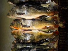 「マナウス・モデルノ市場～Feira Manaus Moderna～」

なんか、もっと赤茶っけた泥だらけの川縁に、もっと汚い、ドロドロの市場があるのだと思っていましたが.....


写真：な、なんだ....このしっぽの丸いマークは....？

......どうやら「ツクナレ英語名：ピーコック・バス」という魚だそーです。