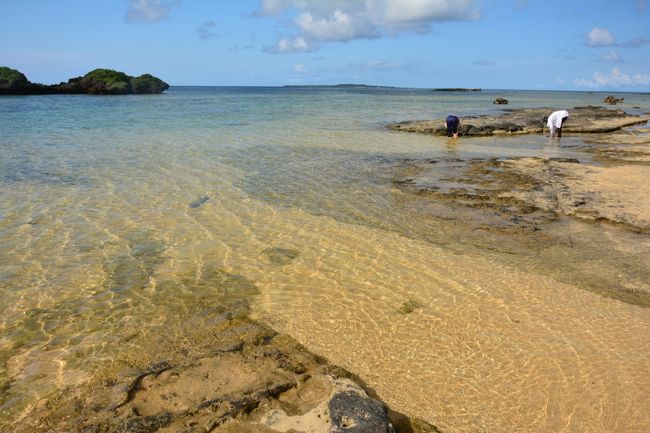 3泊4日八重山島めぐり 3 西表島ドライブと由布島 西表島 沖縄県 の旅行記 ブログ By よーべんさん フォートラベル 3泊4日八重山島めぐり 3 西表島ドライブと由布島 西表島 沖縄県 の旅行記 ブログ By よーべんさん フォートラベル