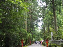 ここからは箱根神社へと。

ここは緑いっぱいで自然の中にある神社だわ。