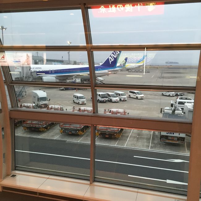 <br />●　ANA083便　6:20発　<br /><br />いよいよ人生初のひとり旅スタート！<br />ドキドキしながら飛行機を眺める<br /><br />石垣島は曇りとのアナウンス<br />週間天気も曇りと雨の予報だったけれど<br />超絶晴れ女の私<br /><br />到着すれば必ず晴れると信じて雨具は一切持たずに出発♪