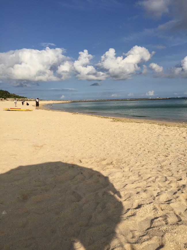 砂浜を裸足で歩くと<br />五感を刺激されてリラックス<br /><br />都内にいてはなかなかできないし、<br />本当に気持ちよかった