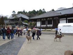 東大寺