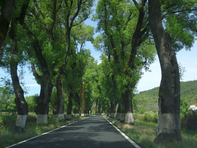 マルヴォンから移動。カステロ・デ・ヴィデに向かう。