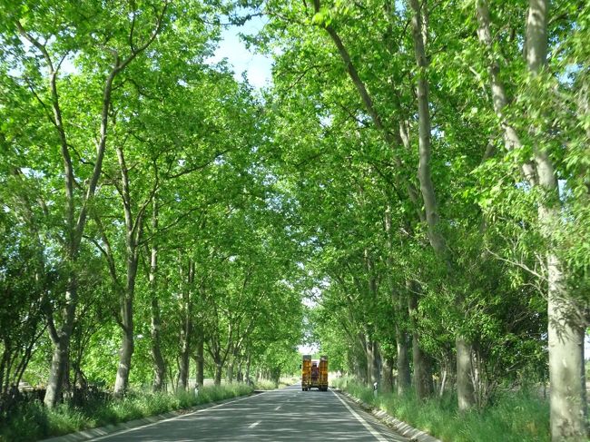 モンサントに向かう。