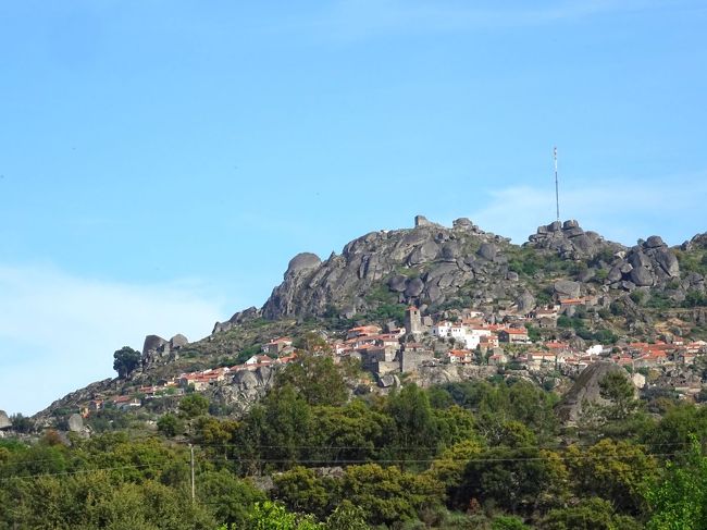 モンサント，見えてきた．