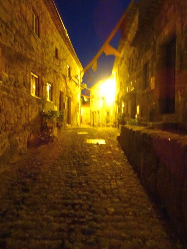 静かな小さい町の夜歩きは最高に楽しいものです．おやすみなさい．