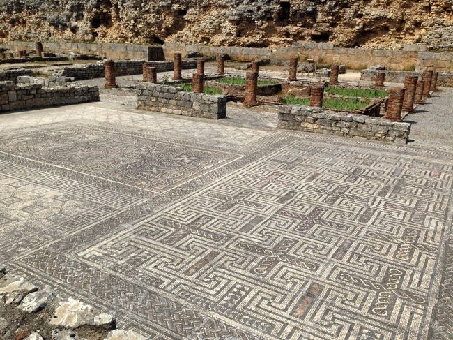 モザイクがよく残っている．