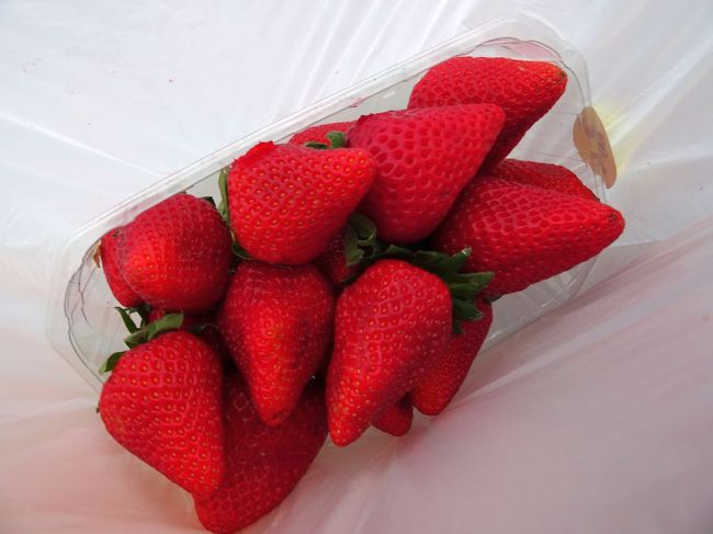 イチゴ購入．うまい．