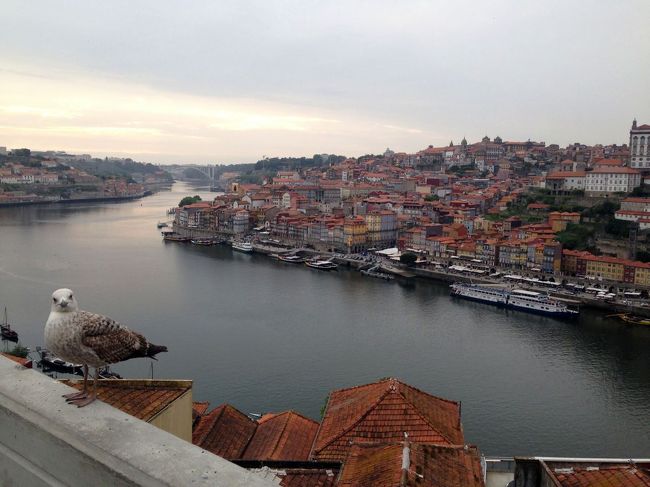 ドン・ルイス1世橋付近からポルト旧市街を眺める．
