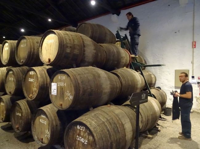 ワイナリーは操業中．