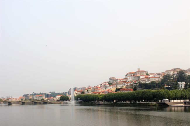 ホテルの場所から川上から大学を望んでます。一番高いエリアが観光エリア<br />気が遠くなります。。。。<br />どうやって行くの？