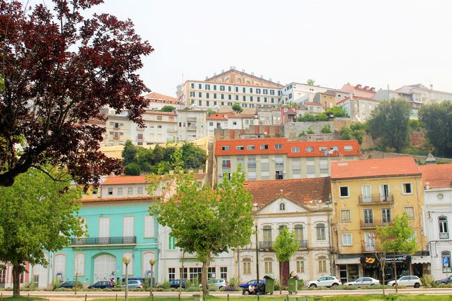 丘の上に見えるのがコインブラ大学です。