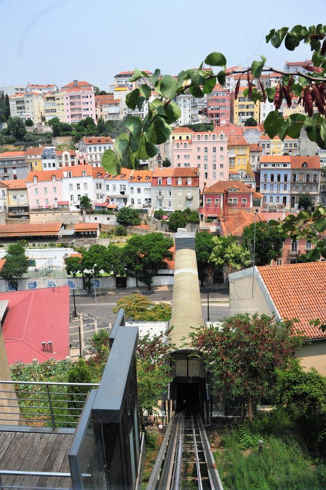 あっと言う間に上がって行きます。