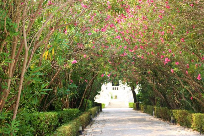 門から樹のアーチを抜けると・・・・