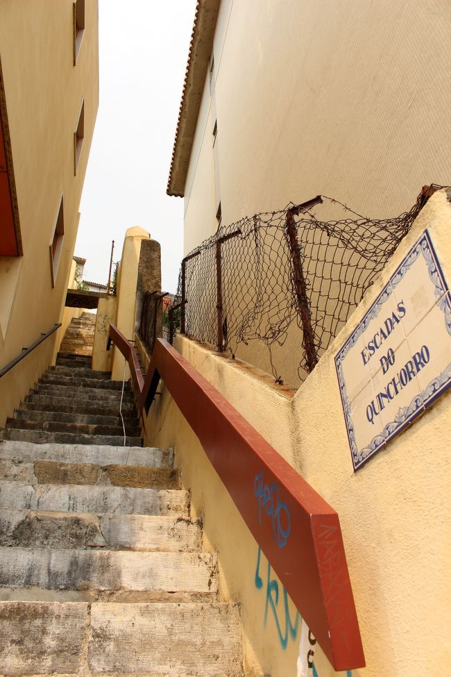 行とは違う道です。<br />川越しに見えてた階段<br />気が遠くなるほどの段数です。