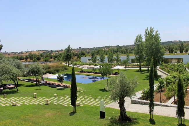 ヴィネヤードといえ、デモ用だけで本格的に葡萄は作ってない感じ・苦笑