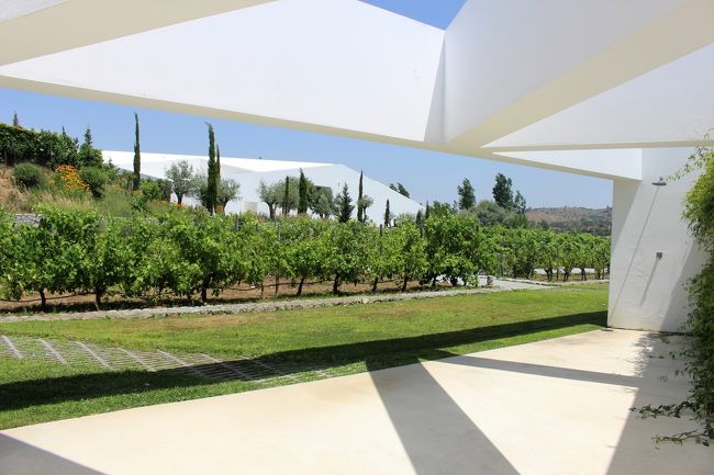 お部屋はヴィラです。